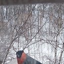 ���� �����, ������ - ��������� 21 ������� 2026 � ������ ������ ��������