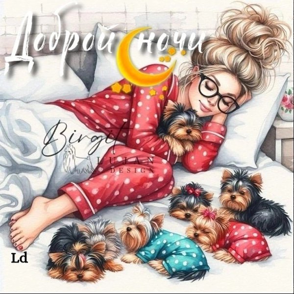   ,    . - 3  2025  22:40