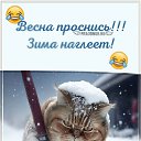 ���� ����, ������, 100 ��� - ��������� 28 ������ 2026 � ������ ������ ��������