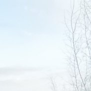 ������, 46 ���, ��������