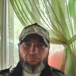 , 37, 