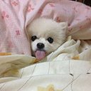 ���� �������, ���� - ��������� 8 ������� 2026