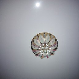 �����, ��������, 37 ���