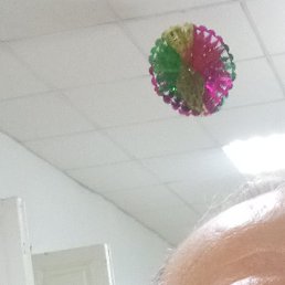 ��������, ���������, 66 ���