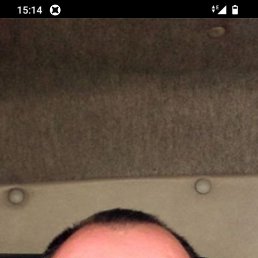 �����, 41 ���, ������