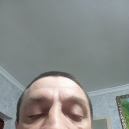 ����, 46 ���, ��������