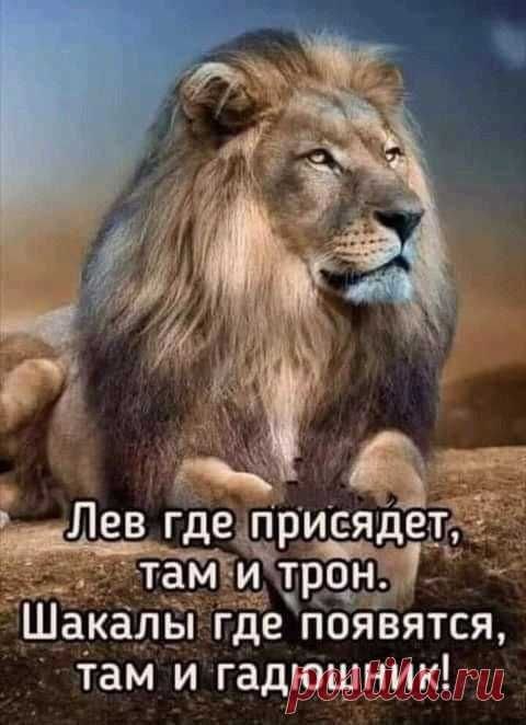 ₪╬═►  ||  ||  ◄═╬₪ - 18  2023  10:21