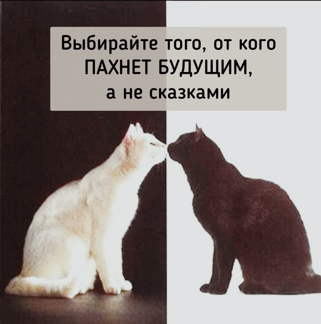  - 28  2025  11:41