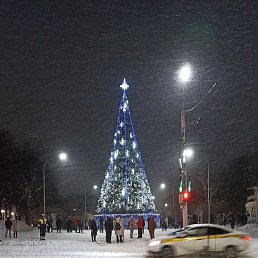 ������, ��������, 33 ����