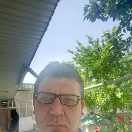 , 42, 