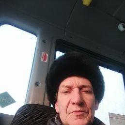 , 37, 