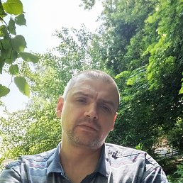 , 40, 