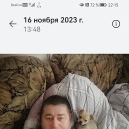 ���� ������, ���������, 49 ��� - ��������� 25 ���� 2025