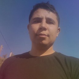 , 40, 