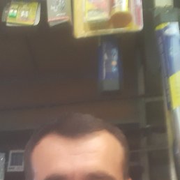 , 41, 