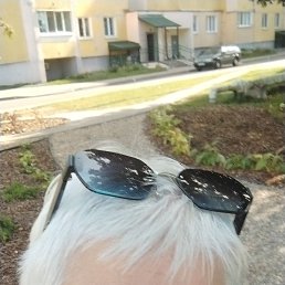 , 61, 