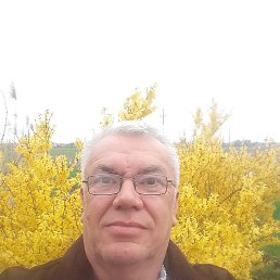 ���� ���������, ���������, 61 ��� - ��������� 30 ������ 2026