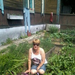 ���� ��������, �����������, 49 ��� - ��������� 7 ������ 2026