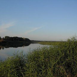 ��������, �������, 41 ���