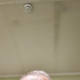 ���� ������, ������, 66 ��� - ��������� 1 ������� 2026