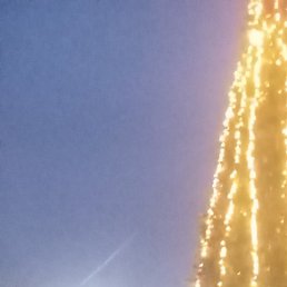 �������, ���������, 36 ���