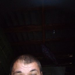 , 37 , 