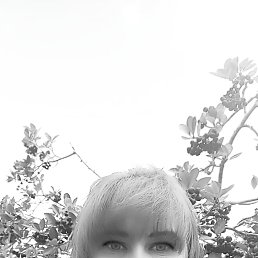 , 39, 