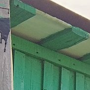 ������, 61 ���, ������