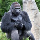 ���� �����������, ������ - ��������� 16 ������ 2025 � ������ ������ ��������