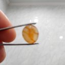  , , 48  -  5  2023   *