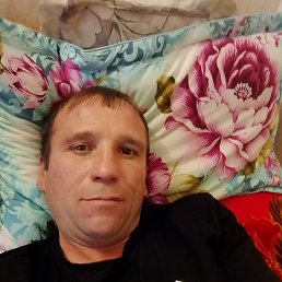 , 37 , 