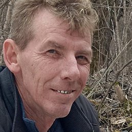 �������� �������, �����������, 51 ���