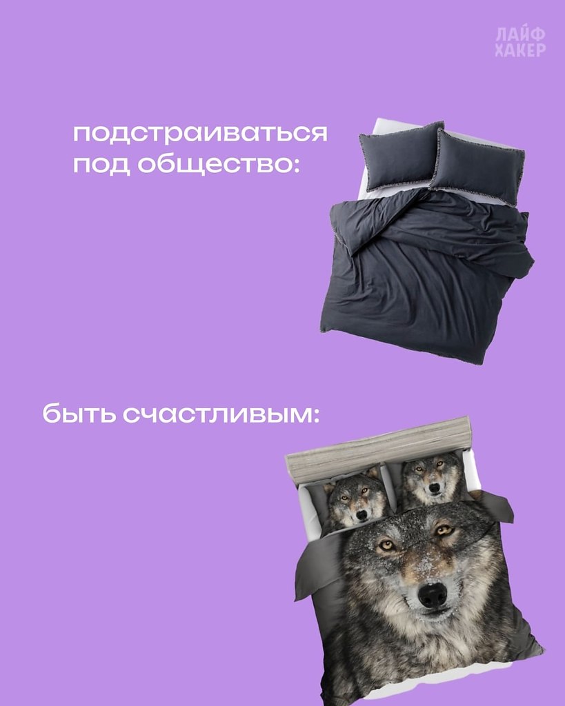 ����� ����� ��������.