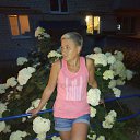 ���� �������, ��������, 50 ��� - ��������� 14 ���� 2025 � ������ ���� ����������