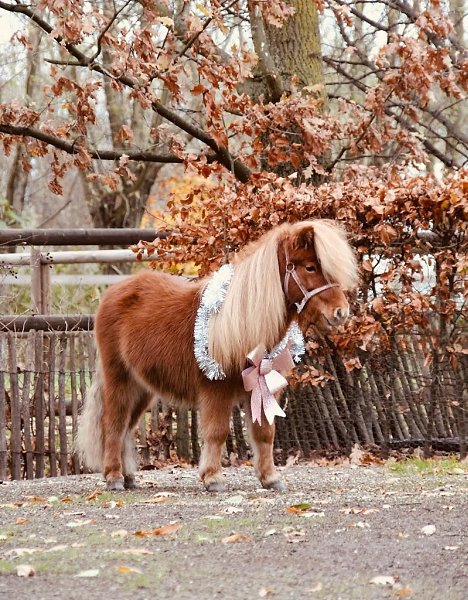  -   ! - 3  2025  10:43