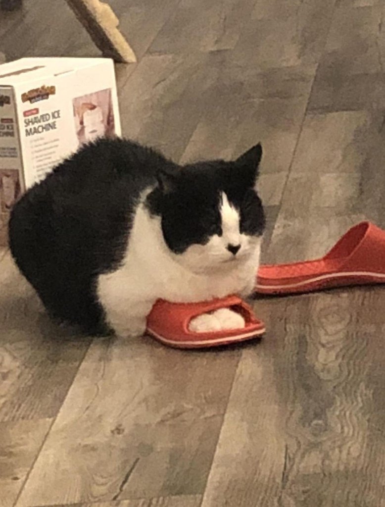 :   .: - 9
