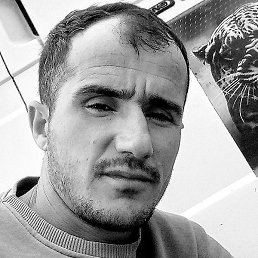 ������, �����-���������, 33 ����