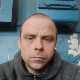 ������, 36 ���, ������