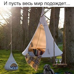 ���� �������, ���� - ��������� 8 ������� 2026