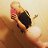 ���� Laura, ������, 40 ��� - ��������� 26 ������ 2025