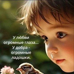 ���� �����, ���������, 52 ���� - ��������� 24 �������� 2025