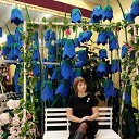 ���� �����, ��������, 41 ��� - ��������� 21 ����� 2024 � ������ ���� ����������