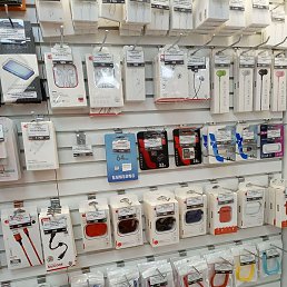 �������, ������-��-����, 48 ���