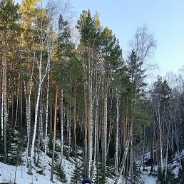 ������, 64 ����, ������