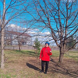 ���� �������, �����, 57 ��� - ��������� 29 ���� 2025