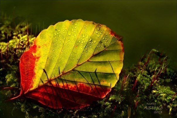    - 10  2025  00:14 - 5