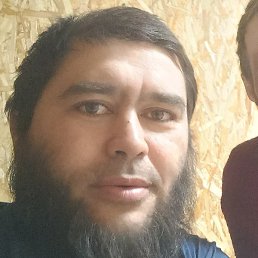 ����, ������, 41 ���