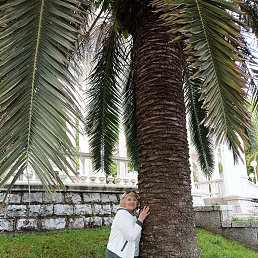 ���� ����, ���������, 62 ���� - ��������� 29 ������� 2025