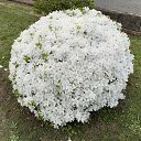 ���� ��������, ������, 38 ��� - ��������� 17 ������ 2025 � ������ ���� ����������