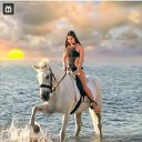 ���� ������, ��������� - ��������� 11 ������� 2025 � ������ ������ ��������